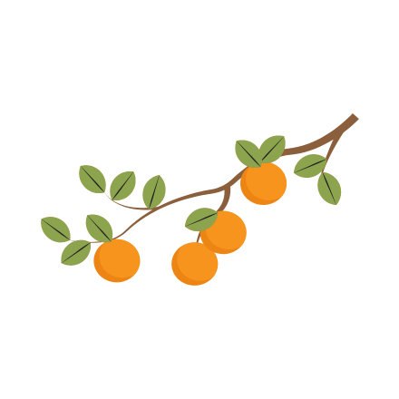 Naranjo